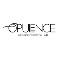 Opulence Hair logo - Similar company to Bcr Properties Ltd.