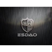 E5DAO PTE LTD logo - Similar company to Ilaser Pte Ltd