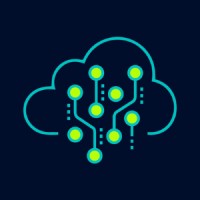 Bermuda Data Analytics logo - Similar company to Bespoke Analytics