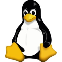 Linux Essentials Certified Engineer logo - Similar company to Linux Courseware