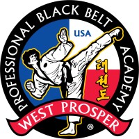 Professional Black Belt Academy logo - Similar company to Sidekicks Academy, Inc.