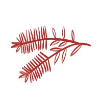 Callistemon Insights logo - Similar company to Gemo Inc.