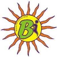 Brainstorm International logo - Similar company to Pristine Interno
