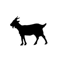 Mountain Boats logo - Similar company to Croxon Capital