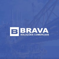 BravaSupply logo - Similar company to Qlp Group