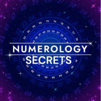 Numerology Secrets logo - Similar company to Celebrity Numerologist Michelle Arbeau