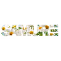 SAMURE logo - Similar company to Ambasco Digital Branding Haarlem | Designbureau Met Oog Voor Je Grafische En Digitale Identiteit.
