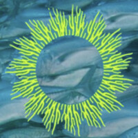 Newatlantis Labs