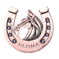 Ultima Racing Group logo - Similar company to Seristine Group