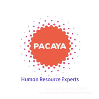 Pacaya HR Experts logo - Similar company to Pakaya