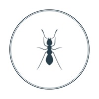 BVB Marketing logo - Similar company to Bonuz