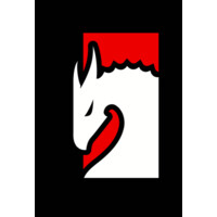 Draak logo - Similar company to Datsbaee Nl
