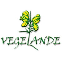 VEGELANDE logo - Similar company to Aircraft Completion Engineering - Ace Aero