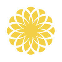 Securegate - options selling strategy fund & online courses logo - Similar company to Vector Certifikace