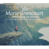 Psychology for Success logo - Similar company to I-O At Work
