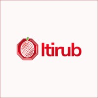 Itirub logo - Similar company to Telemation