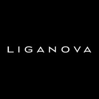 LIGANOVA logo - Similar company to Stan Group