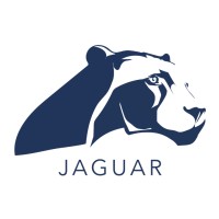 Jaguar logo - Similar company to Visual Storytelling