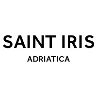 SAINT IRIS logo - Similar company to Extracted