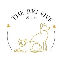 The Big Five & Co logo - Similar company to Big5