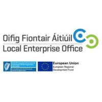 Local Enterprise Office South Dublin logo - Similar company to Rain Fire
