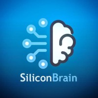 Silicon Brain logo - Similar company to Erp Silicon Ioi