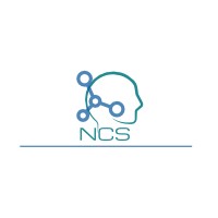 Nevolutions Consulting Services Inc. logo - Similar company to Evolving Networks Canada