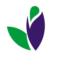 FCM GLOBAL - VERDECANN logo - Similar company to Astrocito.Co