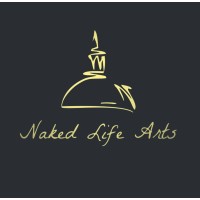 Naked Life Arts I बेपरदा जींदगी logo - Similar company to Provisual