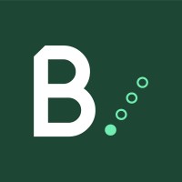 Bushido Strategic Advisory logo - Similar company to Digital Leverage