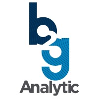 B2G Analytic logo - Similar company to Gpdi – Grupo De Profissionais De Dados E Inteligência