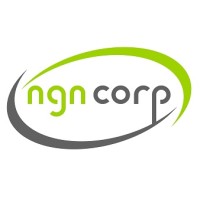 NGN CORP SAL logo - Similar company to Clotech Telecom & Cloud Solutions