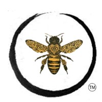 Karma Bee Yoga & Wellness LLC logo - Similar company to Sweat + Soul Studios