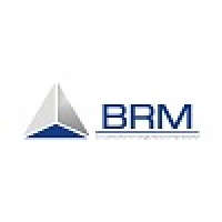 Consultores BRM Asociados logo - Similar company to Tomadato Auditores De Mercado S.A.