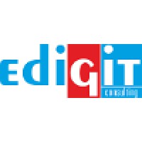 Edigit Consulting, Lda. logo - Similar company to Mozaboot Lda