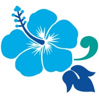 Blue Island Lighting & Irrigation logo - Similar company to Sallin