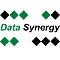 Data Synergy logo - Similar company to Datasynergy