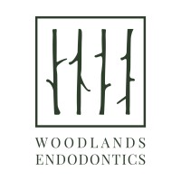 Woodlands Endodontics logo - Similar company to King O'Rourke Auto Group