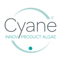 Cyane logo - Similar company to C2Ld Consulting