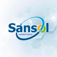 Sanchovni Solutions Pvt Ltd logo - Similar company to Ramer Software Solutions