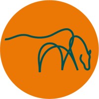 The Mare And Foal Sanctuary