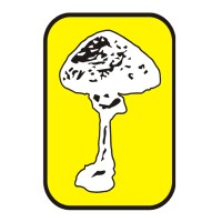 Drumel a Co. s.r.o. logo - Similar company to Stelco Romania Srl