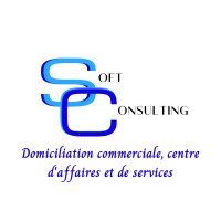 Soft Consulting logo - Similar company to Soft Consulting Llc