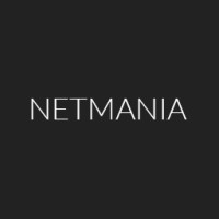 Netmania logo - Similar company to Netmania It Ltd