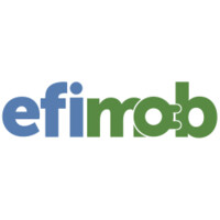 EFIMOB Efficient Solutions logo - Similar company to E-Mob - Smart Charging Solutions
