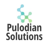 Pulodian Solutions logo - Similar company to Mohir Innovation Group