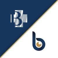 Borough Group of Clinics logo - Similar company to Medlab Central