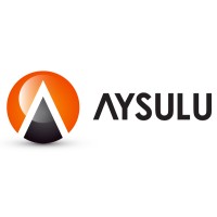 Aysulu Software Solutions logo - Similar company to Ptp Bilişim Ve Danışmanlık Ticaret Limited Şirketi