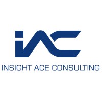 InsightAce Analytic Consulting logo - Similar company to Montis Technologies