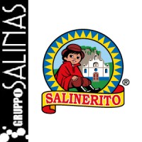 Corporación Gruppo Salinas logo - Similar company to Huma Chocolate C.L.